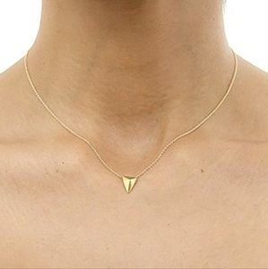 Golden triangle necklace NWT